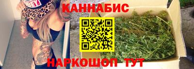 индика Беслан