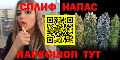 кокс Берёзовский
