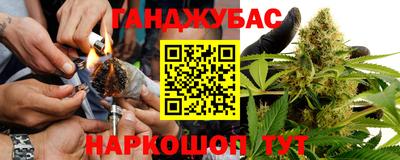 индика Беслан