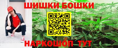 индика Беслан
