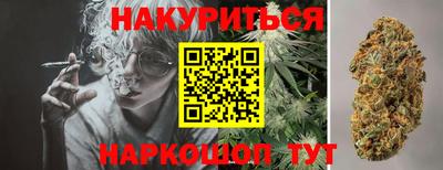 индика Беслан