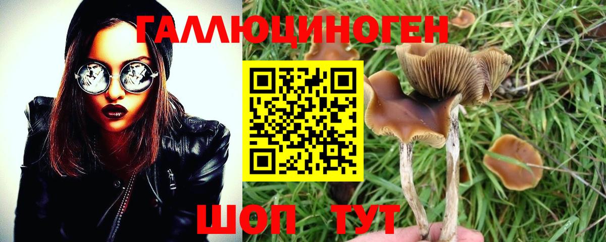 Кандалакша  Галлюциногенные грибы мицелий  Вход с VPN 